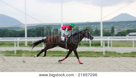 Courses de chevaux.