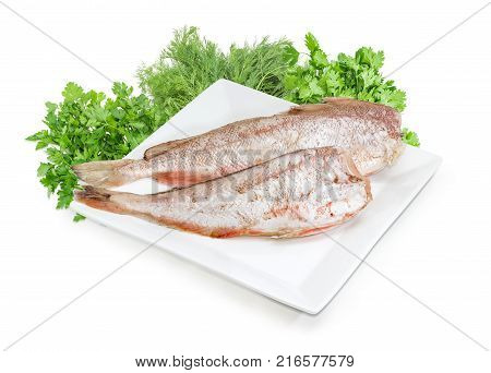 Two carcasses of uncooked red cod without heads and purified from fish scale on the large square white dish against of bundles of the parsley dill cilantro on a white background