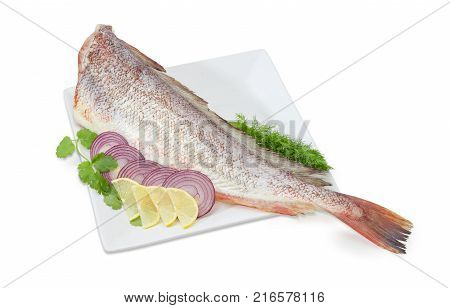 Carcass of the uncooked red cod without head with cilantro and dill twigs sliced lemon and red onion on the large square white dish on a white background