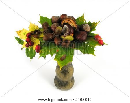 Folhas e frutos de outono