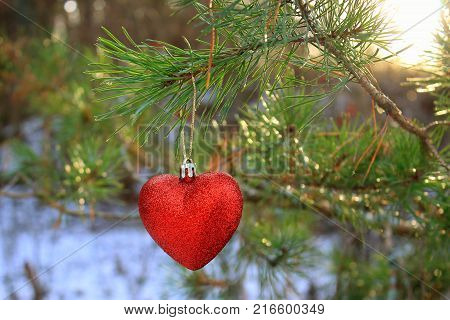 The decoration on the Christmas tree. Red heart hanging on a Christmas tree on the sun. The spirit of Christmas. Christmas traditions. Winter mood and love. Heart on the snow