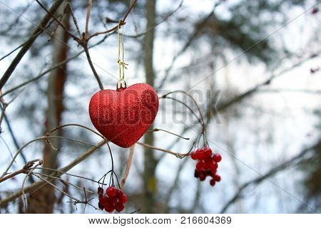 The decoration on the Christmas tree. Red heart hanging on a viburnum tree. Christmas tree. The spirit of Christmas. Christmas traditions. Winter mood and love. Heart on the snow