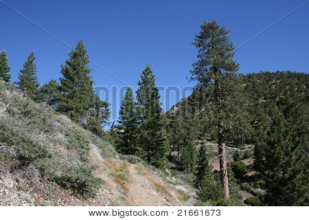 Mount Williamson Pacific Crest Trail weergave