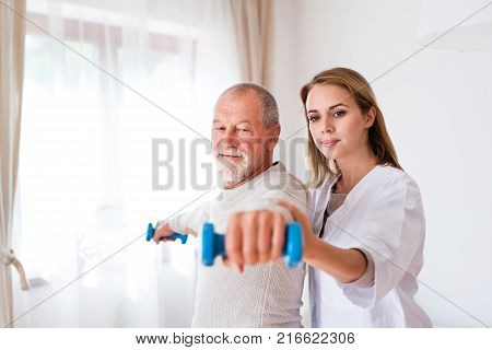 Health visitor and a senior man during home visit. A nurse or a physiotherapist helping a senior man exercise with dumbbells.