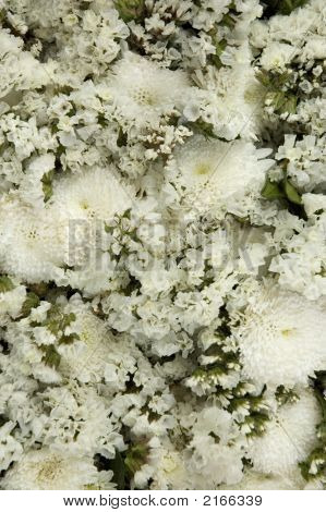 Bloemen