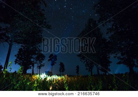sunhemp flower at night with full sky.