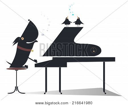 Cartoon dog a pianist silhouette isolated. Comic dog plays music by piano and birds pipe illustration