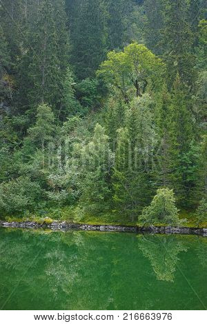 Small Forest Lake In Alpen Mountains, Place For Relaxation And Tranquil Vacation