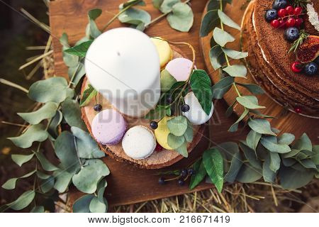 Colorful Macaroons On A Round Wood Log