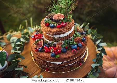 Colorful Macaroons On A Round Wood Log
