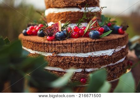 Colorful Macaroons On A Round Wood Log