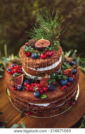 Colorful Macaroons On A Round Wood Log