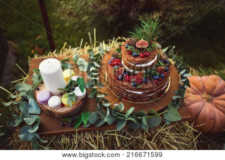 Colorful Macaroons On A Round Wood Log
