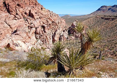 Vista de Red Rock Canyon en el desierto de Mojave.