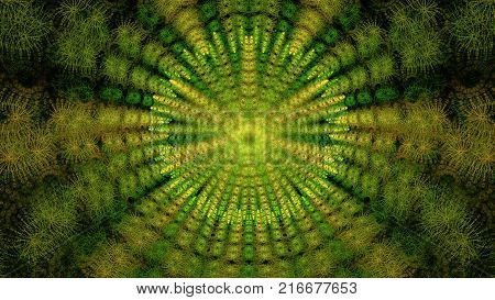 Bacteria design. Amoeba. Paramoecium. Euglena. Abstract fractal design. Isolated on black background.