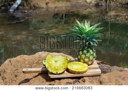 Pineapple juice waterfall in copy space.