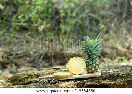 Pineapple juice in the forest.Chopped on natural
On the floor