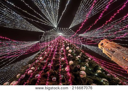 Vilnius, Lithuania: Christmas tree in Cathedral Square at night