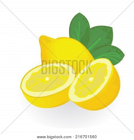 Lemons isolated on a white background vector illustration