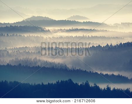 Autumn Sunrise. Deep Forest In A Beautiful Hilly Landscape Within Inversion Weather.