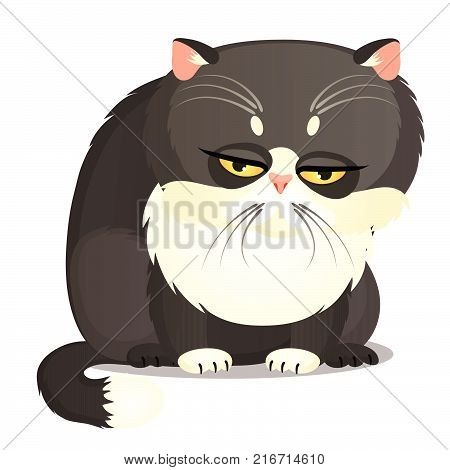 Sad fat gray cat with yellow eyes isolated on a white background. Funny animal. Vector cartoon close-up illustration.