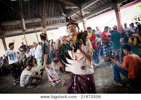 GIANYAR, BALI, INDONESIA - 21 maggio: Abitante del villaggio non identificato Visualizza suo gallo prima che la lotta al th