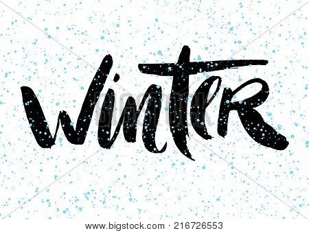 Text Winter: vector illustration. Lettering brush modern