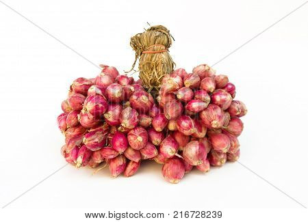fresh shallots or onion, herb and vegetable, food ingredient