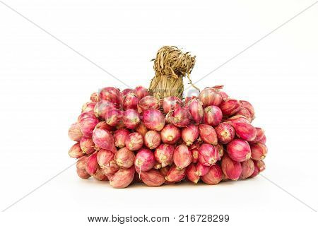 fresh shallots or onion, herb and vegetable, food ingredient