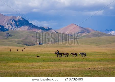 Man Guiding Horses, Song Kul Lake