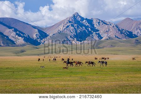 Man Guiding Horses, Song Kul Lake
