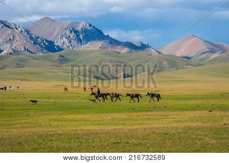 Man Guiding Horses, Song Kul Lake