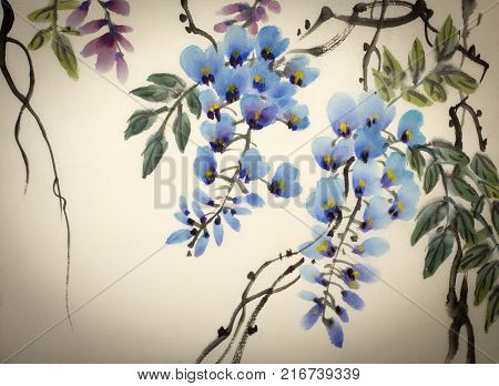 Tender flowering wisteria painted in Chinese style