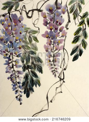 Tender flowering wisteria painted in Chinese style