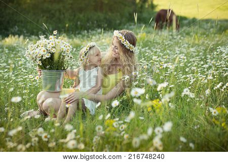 Beautiful Lady With Cute Daughter On Camomile Field Full Of Flowers