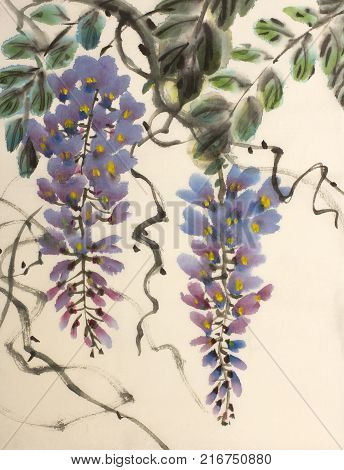 Tender flowering wisteria painted in Chinese style