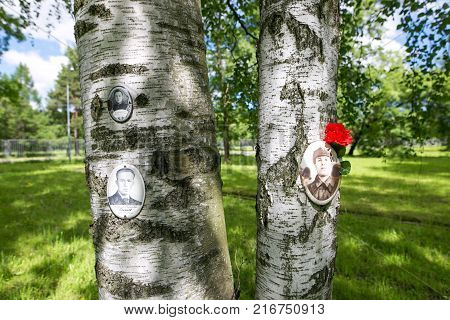 Petersburg, Russia - July 2, 2017: Piskaryovskoye Memorial Cemetery. Place Of Mass Graves Of Victims