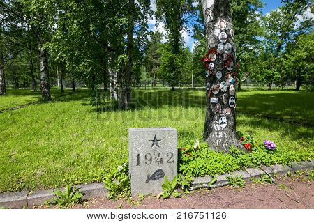 Petersburg, Russia - July 2, 2017: Piskaryovskoye Memorial Cemetery. Place Of Mass Graves Of Victims
