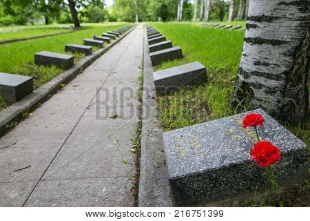 Petersburg, Russia - July 2, 2017: Piskaryovskoye Memorial Cemetery. Place Of Mass Graves Of Victims