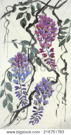 Tender flowering wisteria painted in Chinese style