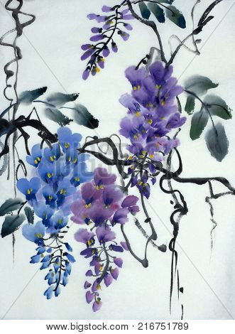 Tender flowering wisteria painted in Chinese style