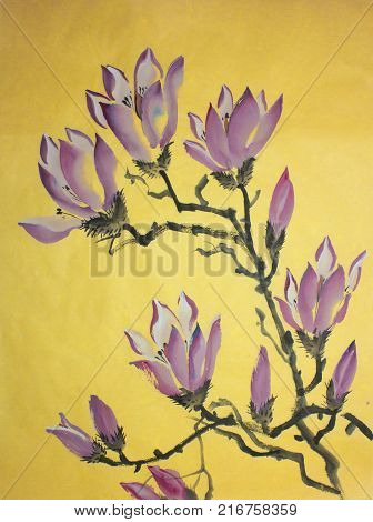 Lilac magnolia flower on a yellow background