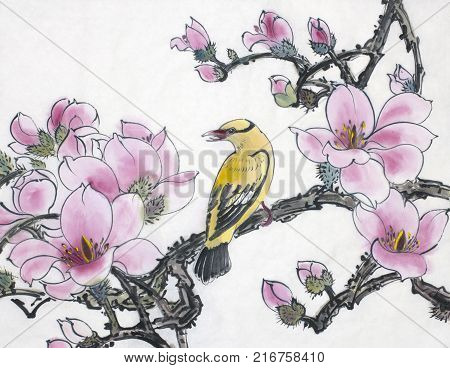 flowering branch of a magnolia and a bird