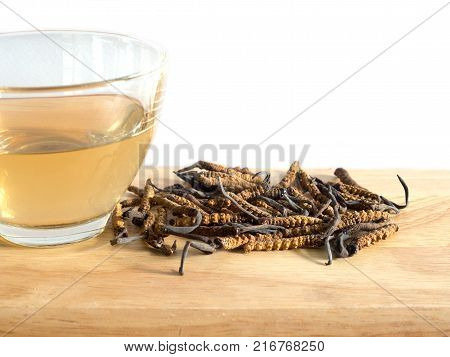 Select focus of mushroom cordyceps (CHONG CAO) this a herbs. With a glass of water add water from the Ophiocordyceps sinensis extract. Medicinal properties in the treatment of diseases.