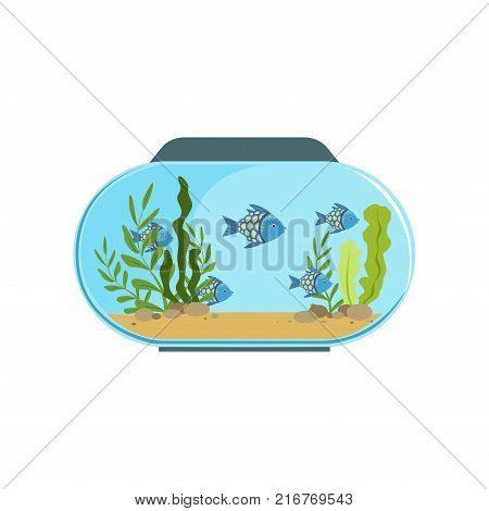 Aquarium in round shape with blue exotic fishes. Freshwater fish tank with seaweed and stones on sand. Underwater world concept. Colorful flat vector illustration isolated on white background.