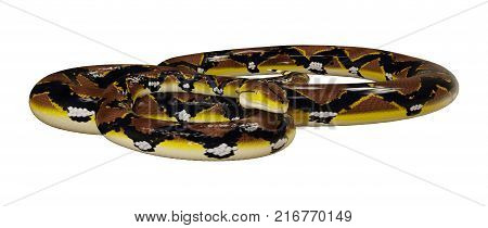 3D Rendering Reticulated Python On White