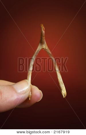 Wish bone concetto pollo crepa desiderio