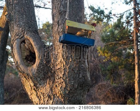 For small sparrows, people made feeders and stuffed them with food.