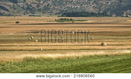 Mountain Landscape In Abruzzi At Summer