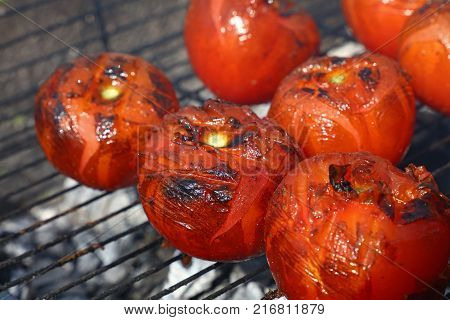 Red tomatoes with grillmarks cooked on char barbecue grill with smoke close up high angle view
